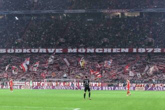 Arena Südkurve Fans