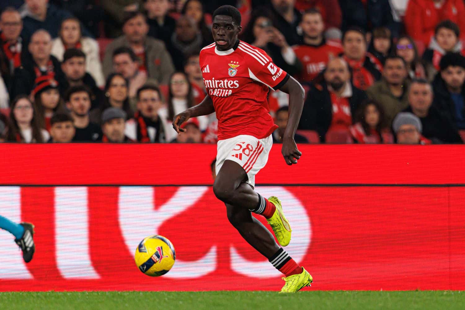 Liga Portugal game between SL Benfica and CF Estrela Amadora Daniel Banjaqui