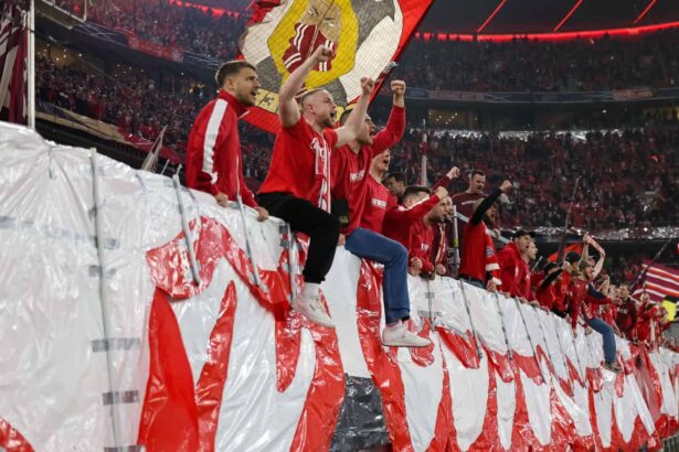 Bayern fans