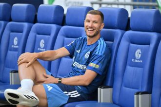 Edin Dzeko