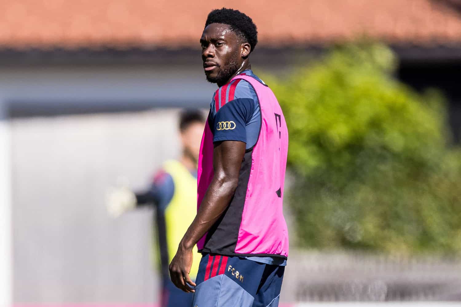 davies-zoff Alphonso Davies