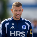 Edin Dzeko