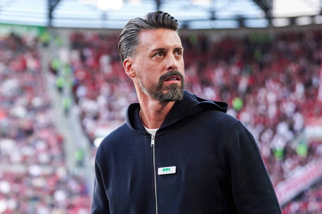 Sandro Wagner